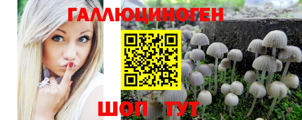Галлюциногенные грибы мицелий  Галлюциногенные грибы ЛСД  Мурино  Вход с VPN 