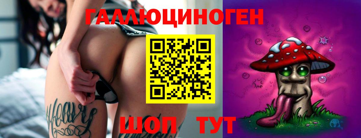 Псилоцибиновые грибы Cubensis Мурино